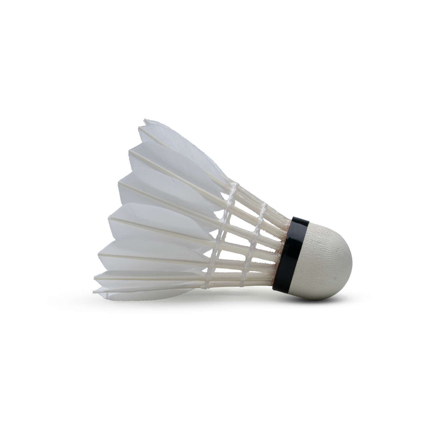Hundred F10 Feather Shuttlecock