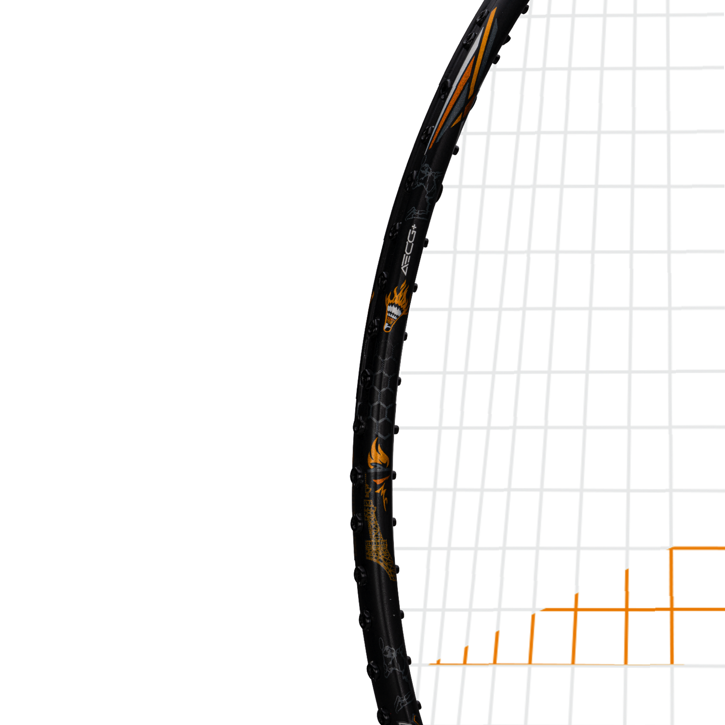 Glory Limited Edition